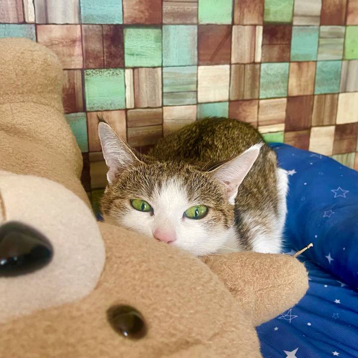 C33554d1 c087 4f56 a048 009cd56a719d 1635475957385