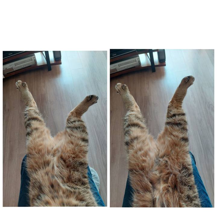 C3358ea0 1213 451d a52e 5092d1d90090 1710545335968