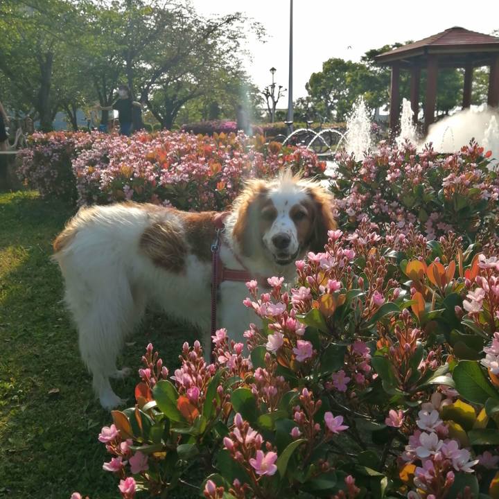 C335df78 2c66 4568 b4fd b6cb03bcd792 1619252733030