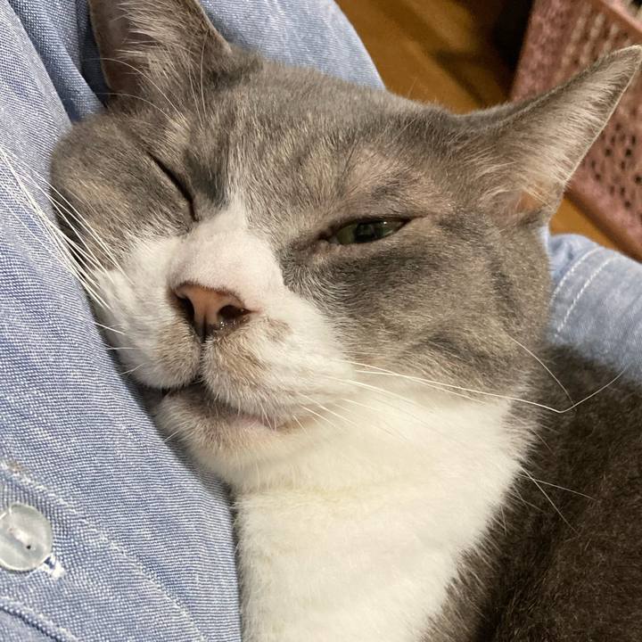 C335f76c 7fcf 450c 8a0f 66717a895d3d 1688859690244