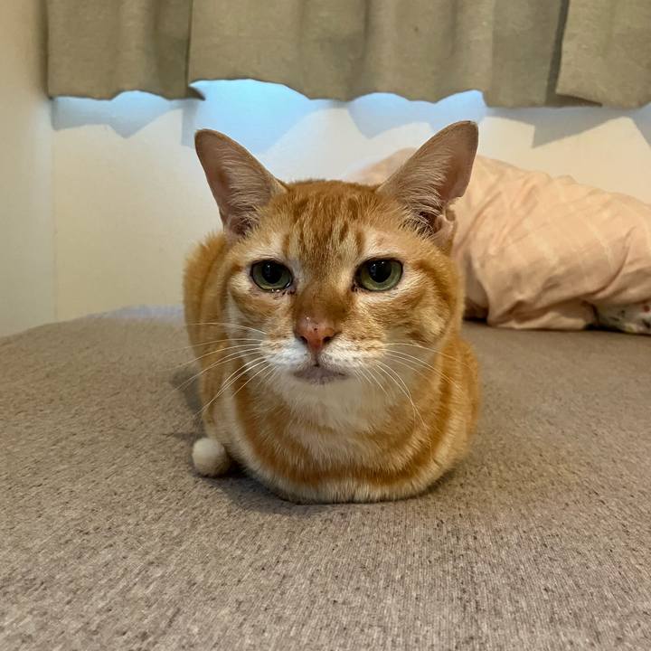 C335f820 05c6 4346 b910 ea6a157ac95c 1761601805822