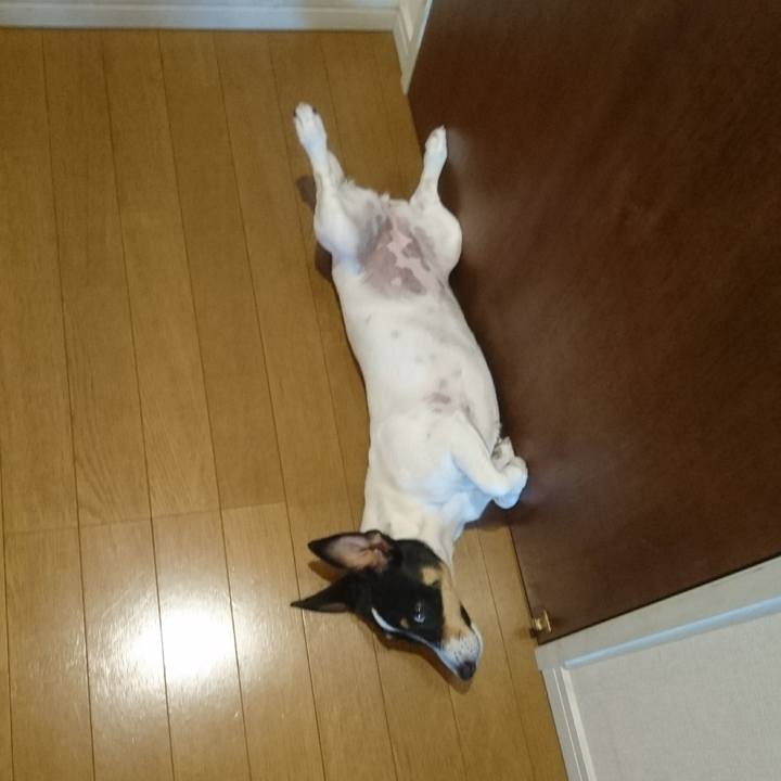 C336448e 886b 452b 8c8d 08cfaa48a735 1561101614732