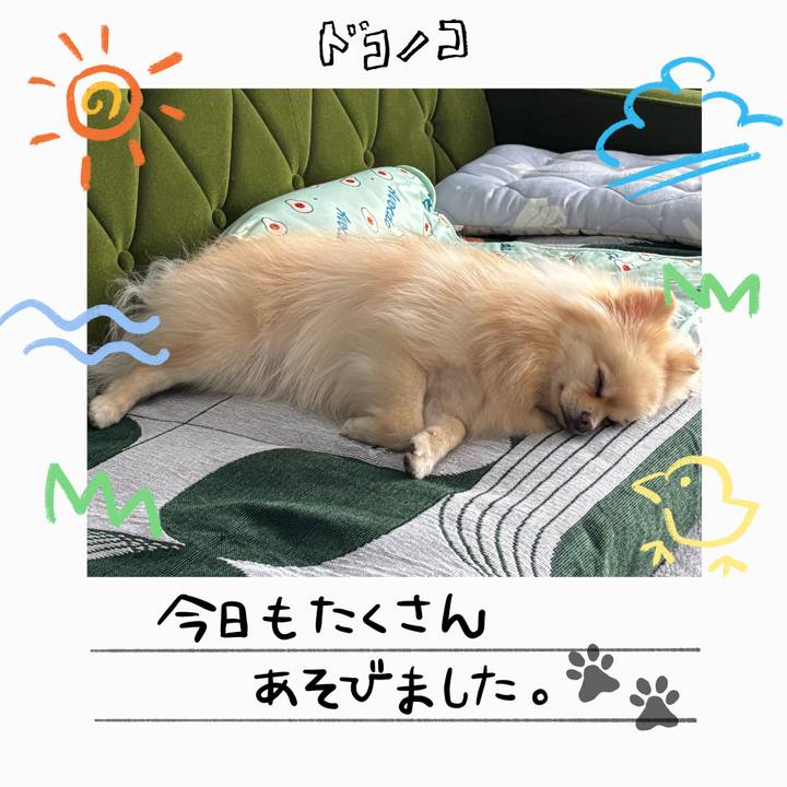 C336a26b b89c 41c5 a802 322e8e375a1a 1755243464828