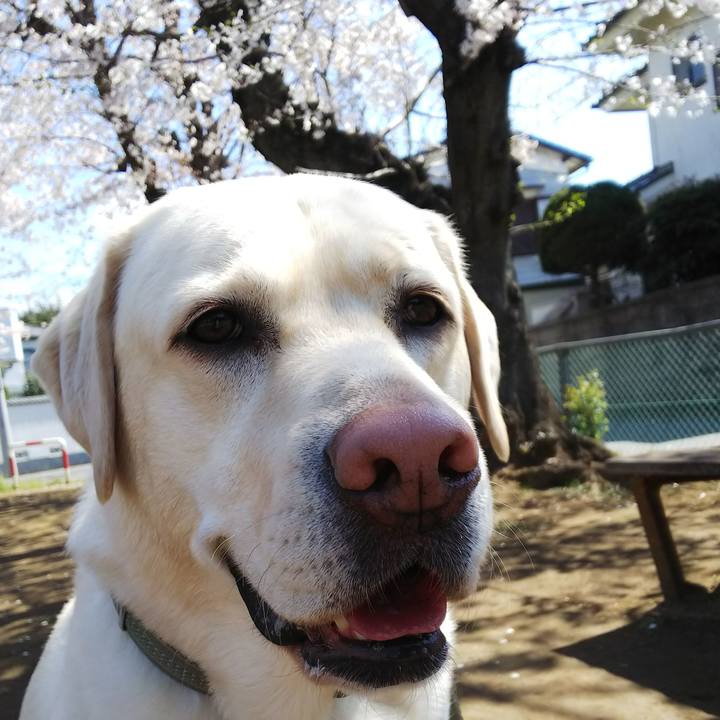 C336cad5 0db8 4658 8602 e856ab267479 1554267369150