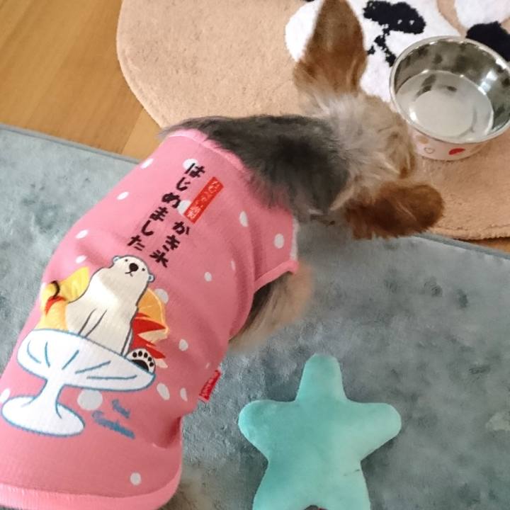 C336d83b 586e 4920 8928 4a5931240075 1532217753832