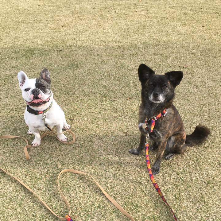 C336e0db fb40 4d7d 8f37 4fa906f43ca9 1544954415185