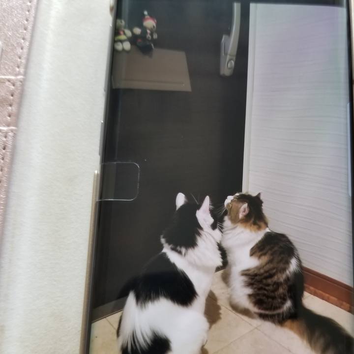 C337106b b887 4f41 b1aa a01e4babc805 1537054174434