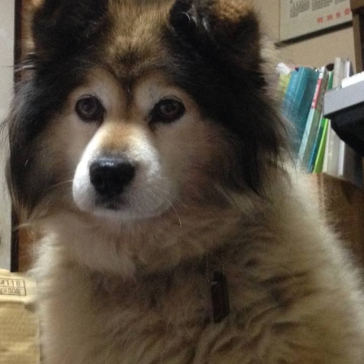 C33723ac d283 4fc0 87d2 713cddecaa17 1604766852838