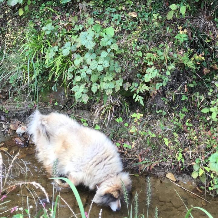 C3374cca 9811 465b bcb7 db4ecc60bbfd 1568263307070