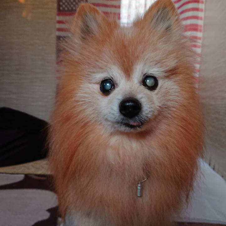 C3374d64 7cad 4f5b 8e2a cfb5e458139c 1685008649763