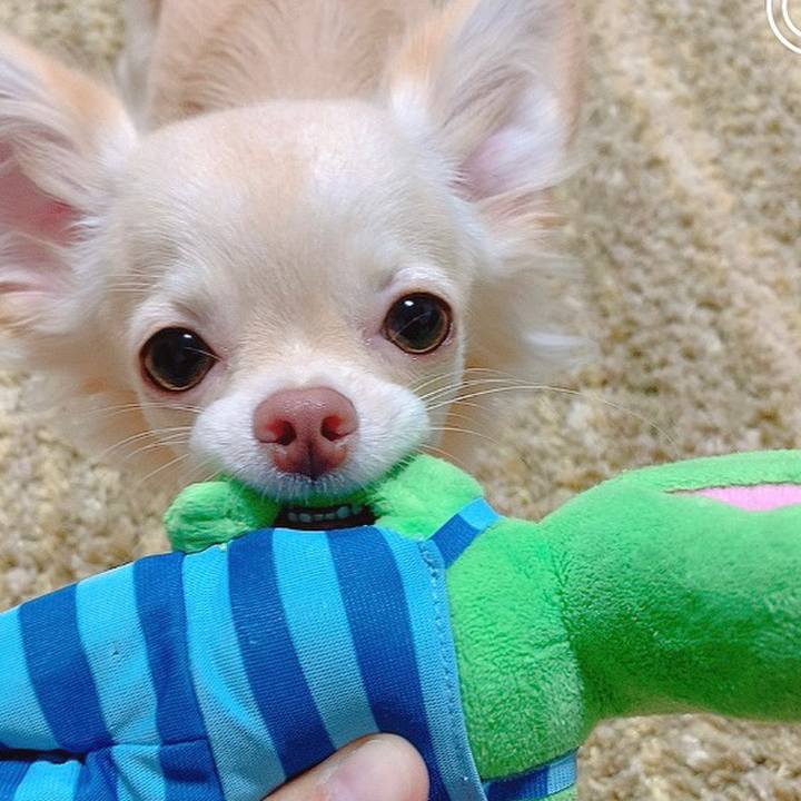 C3374fff aae3 4d7e a579 d5003d3c0c88 1602756718705