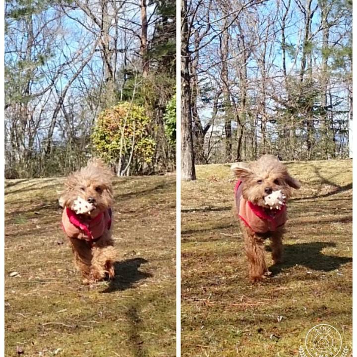 C3385157 1762 4865 9149 0e7ef5370d43 1520400295213