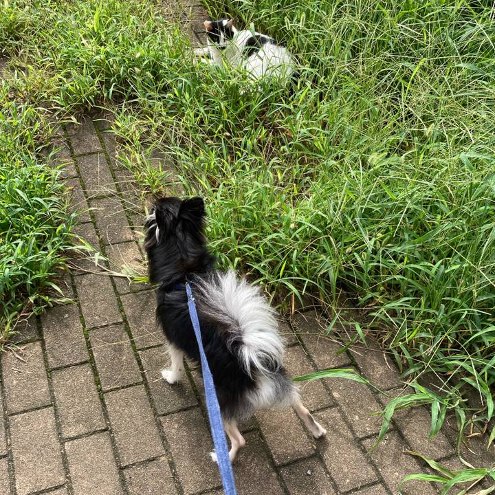 C338a543 dd72 43e6 bda8 e2a7a685cdbe 1662272271426