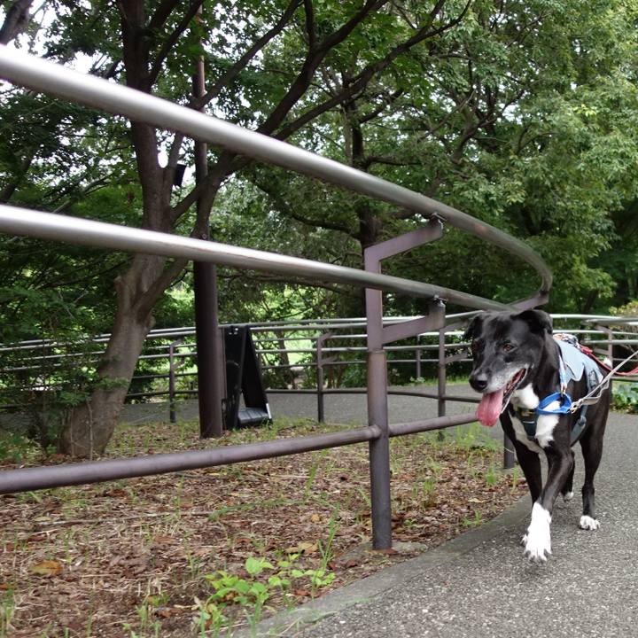 C338aa3c cf0f 40dd 804e 09dcc6694b3e 1725322672975