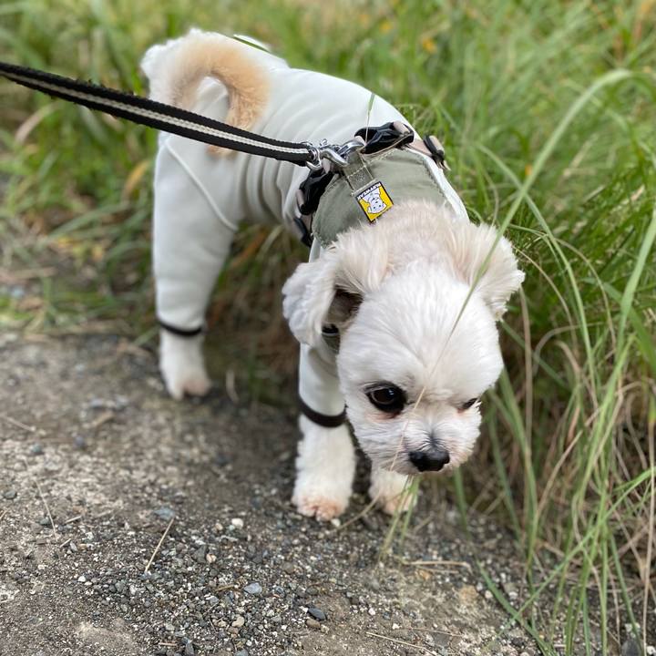 C338c6f6 c170 44d4 b0cc 96b935ff5287 1669812920063