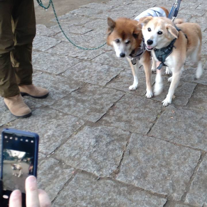 C338cc44 9d5b 4217 8450 0dd2be724282 1640770387841