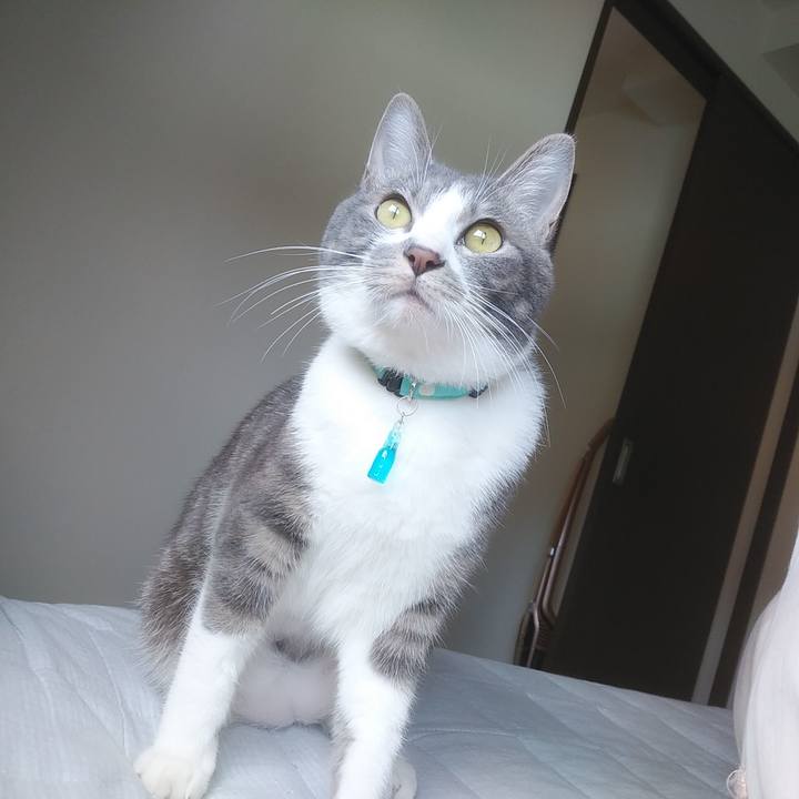 C3390b96 56f4 41d0 9eb8 028fa436d0b8 1587689688905