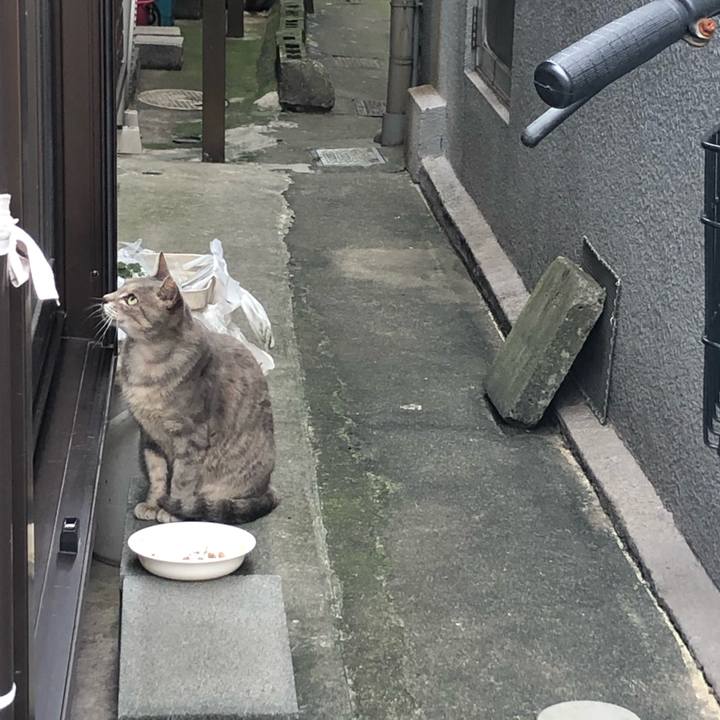 C339355c dc44 415f 86b9 d941dbe662d5 1569074939334