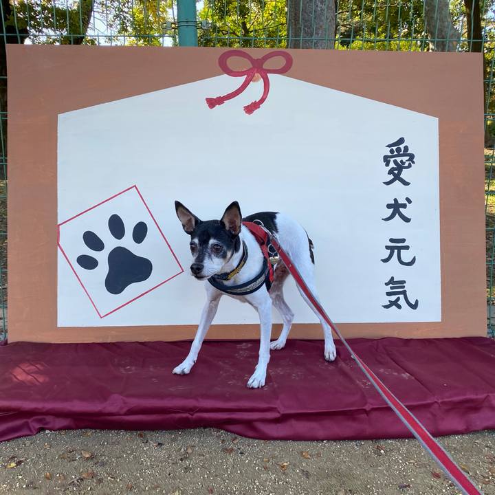 C3396aa7 9b34 47ca bef2 685d1e9dacc0 1605418411885