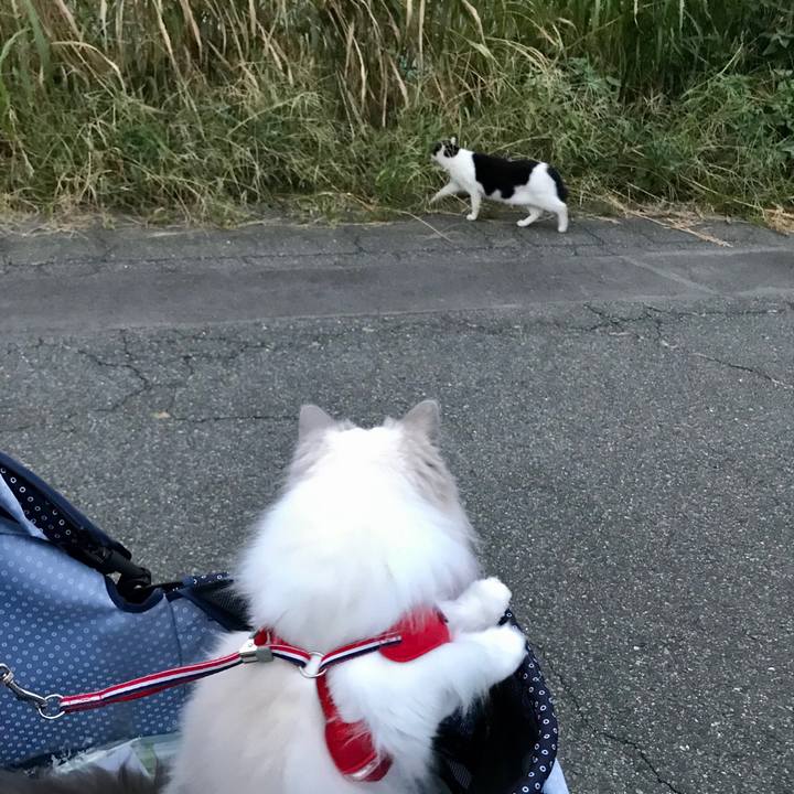 C33a3761 4c43 453a 9295 1d84b99b76b4 1599344085216