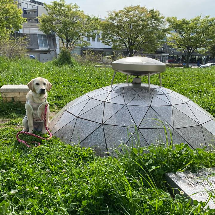 C33a3d6d ea61 46c9 879f 7afd170b13c7 1618098968653