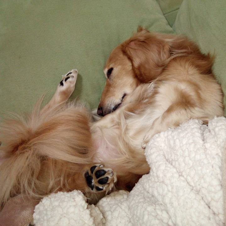 C33a5961 b679 4202 aea4 a1a008e7b7d4 1597581486280