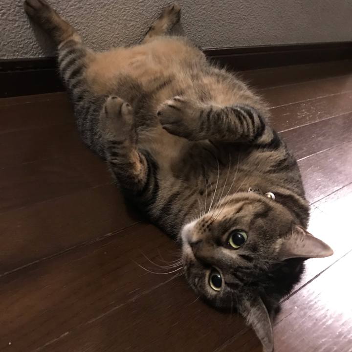 C33a5a0a 7157 455a 8e48 ffd1a57d918e 1564235828932