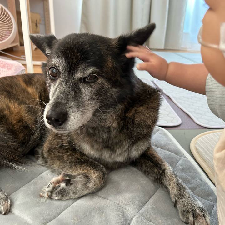 C33a783a eecf 49ed 9b10 a62dcc9c6186 1734056465030