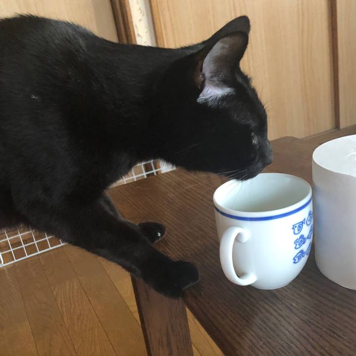 C33a8712 b375 474b 9783 7b593f07179e 1669187379410