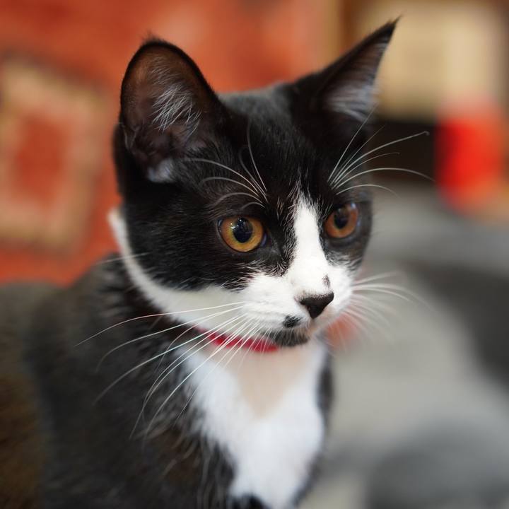 C33ae5a0 49a3 471d 9d7d 88ff915e5563 1577972648076