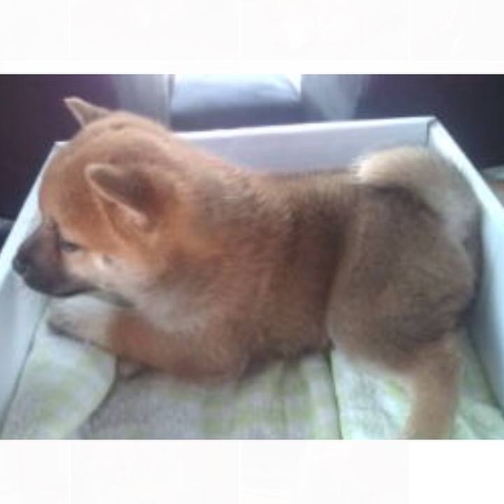 C33b1020 8a9b 47d9 a416 40d36327607d 1507865735514