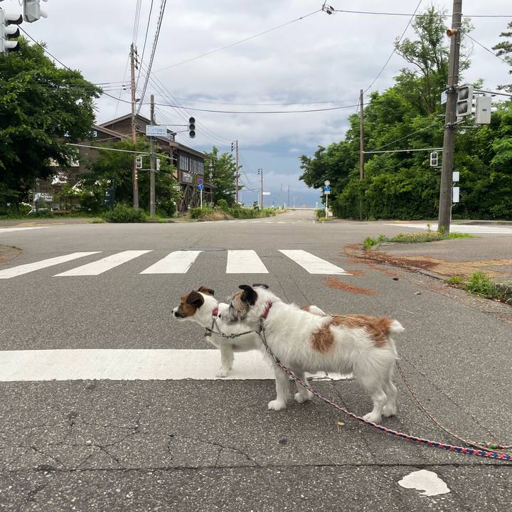 C33b1ae9 edda 4e0b 92ab 0484850955ed 1750716495334