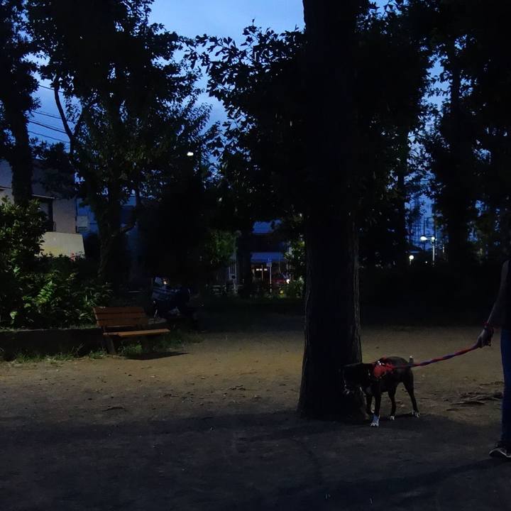 C33b1bc2 d749 493a 8ad7 df39915aafca 1598783485988