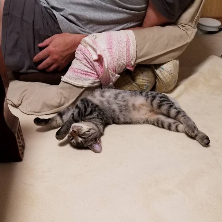 C33b3f3c 83ca 47ff 885d 04892690cd3b 1668482390471