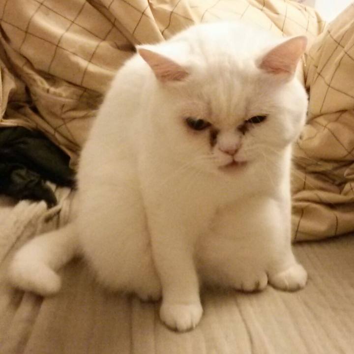 C33b4e0c c16d 435d 9ae6 35e96eb83388 1509151570369