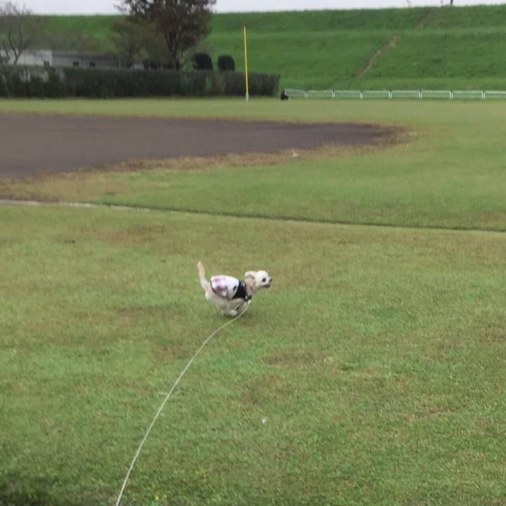 C33ba9de f201 4c6e 977b bf6aaba5f702 1539586069913