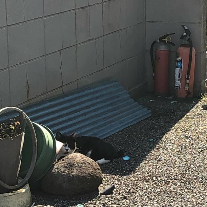 C33c1221 4529 423d a708 063d6419ee61 1566718722264