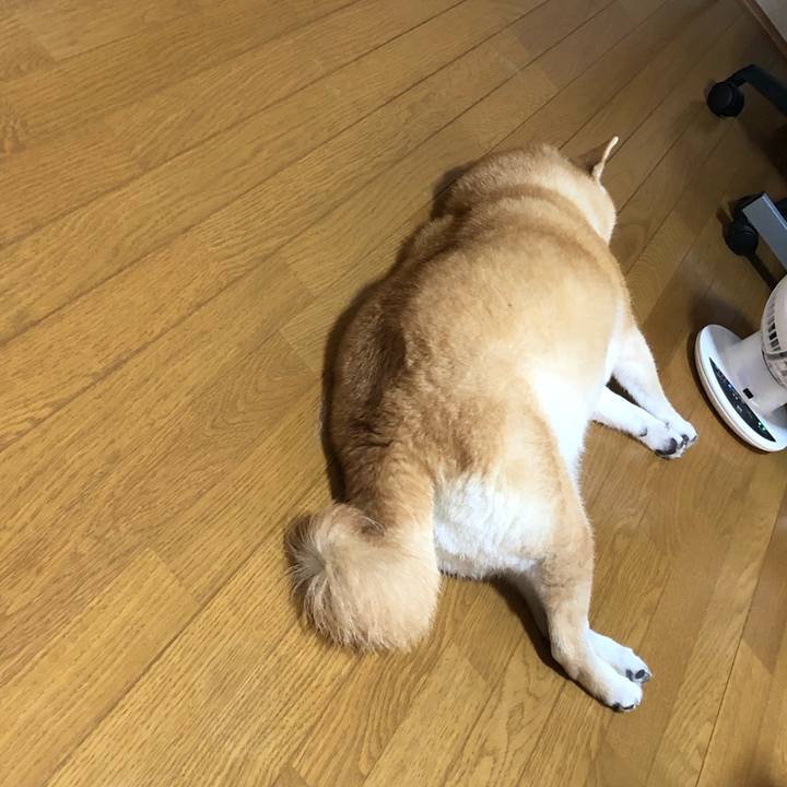 C33c142d 6b50 4db9 a8fe a245279c4df5 1593867439305