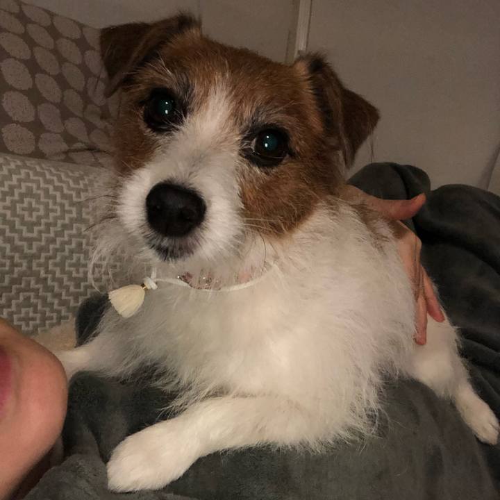 C33c1818 2fe7 4153 b820 e15f5f99743c 1607857185092