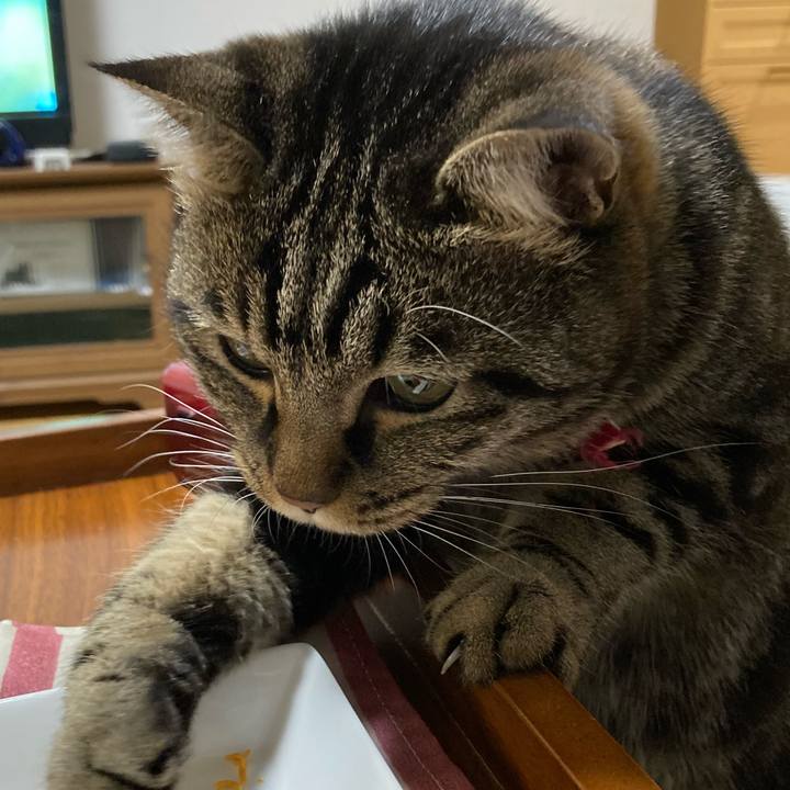 C33c2f22 b116 4219 8123 ab980fc0da38 1607573187947