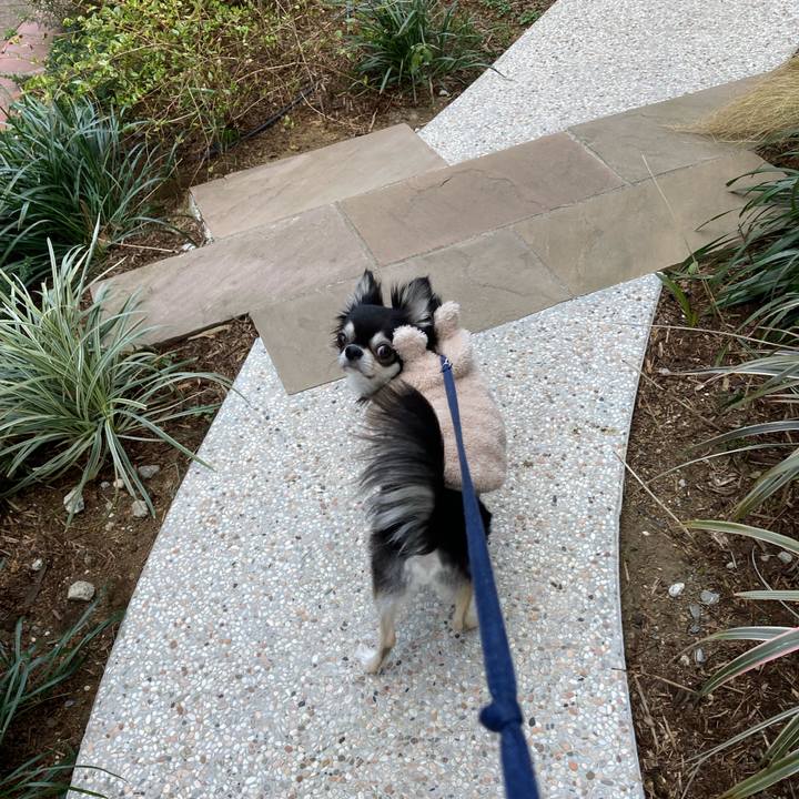 C33cbea9 27f4 4ddd 8b19 211586123c42 1677943477444