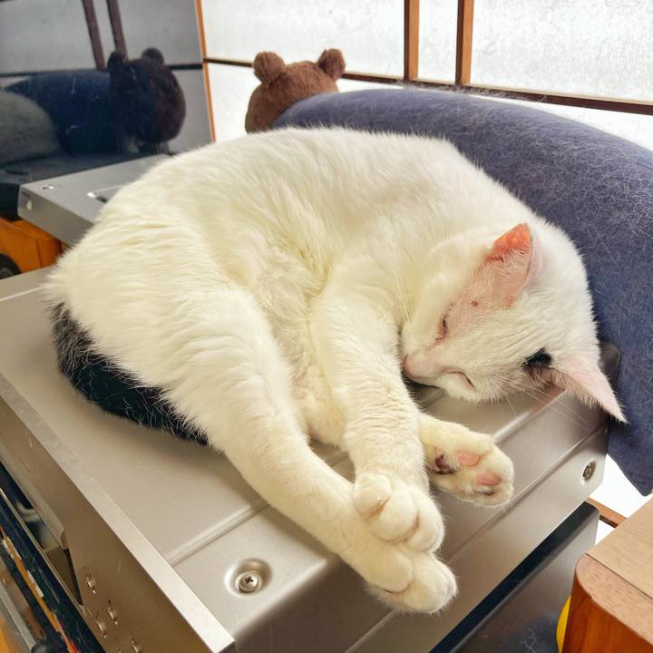 C33cce4a 497a 4134 8911 1e3a5ebde9f2 1755927066391