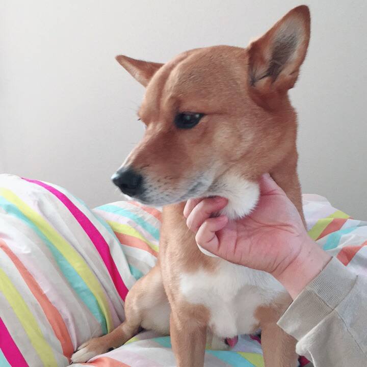 C33ce0f2 89e7 4665 b776 abd9a71ed009 1525958679188