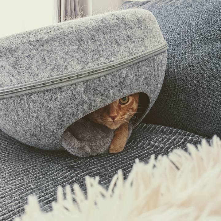 C33ce38a b750 4868 99f4 39a1feda537f 1639535842549