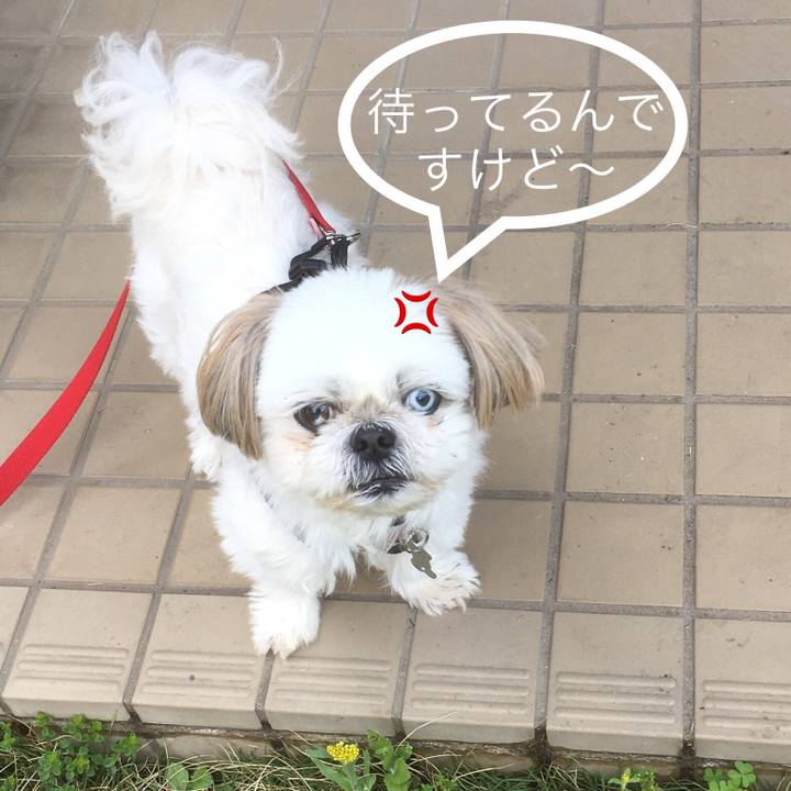 C33cfaf8 de8b 4e44 be64 4fdf46a405d8 1524741930207