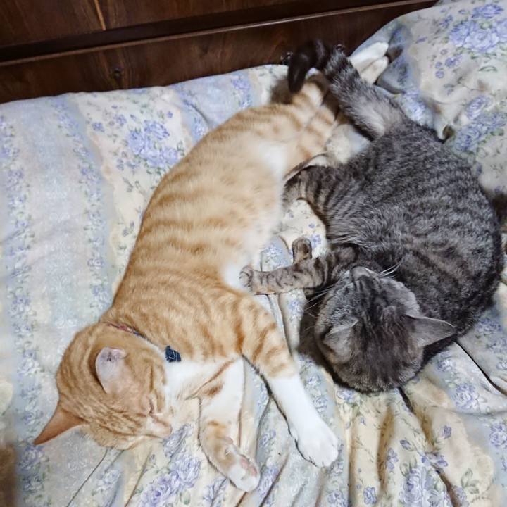 C33d092e 2884 43ce aed7 eccd82453b51 1562936834934