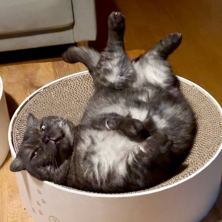 C33d3058 b6ec 4b3a a61b 1a8d76e043b1 1770898053772