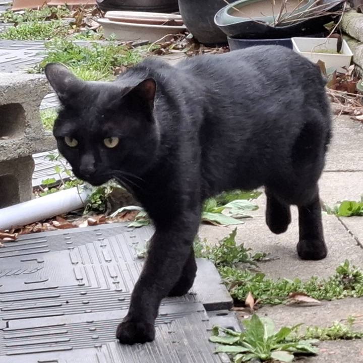 C33d34f7 af10 4bfc bd36 0556d6e798e6 1743427080671