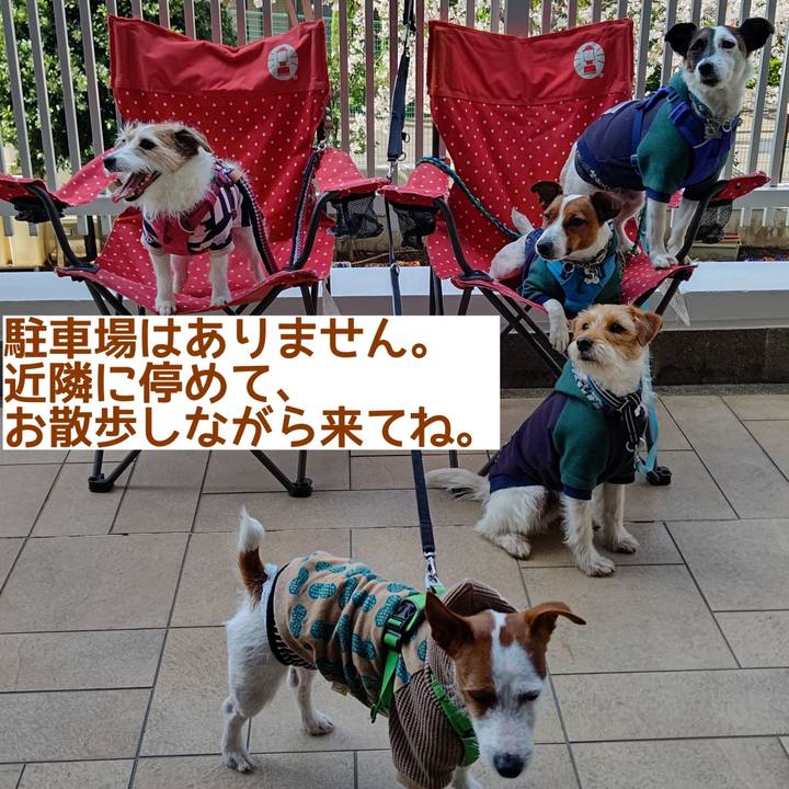 C33d3647 438e 4d15 bde3 dff8fdd57e4c 1621841548827