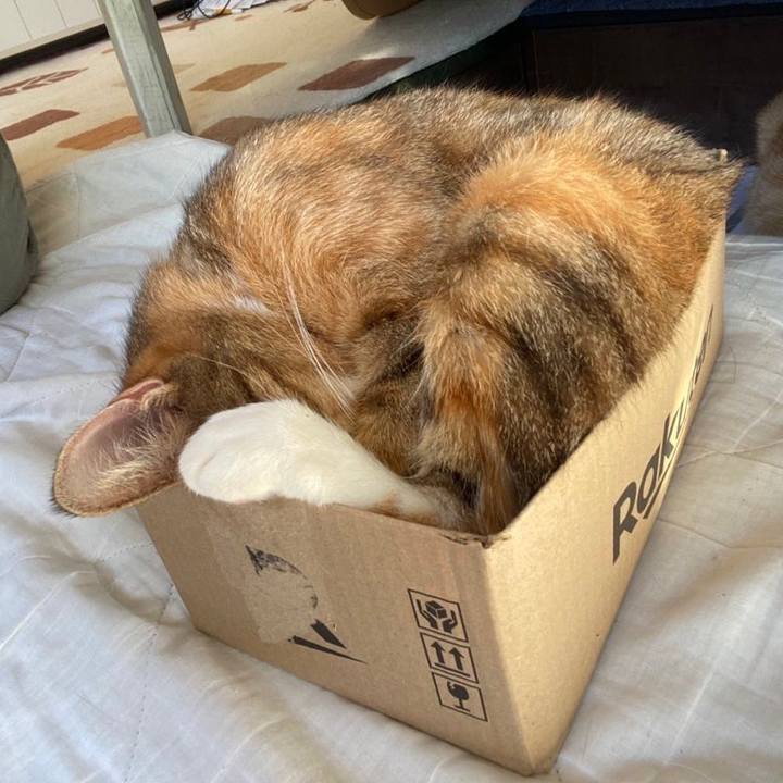 C33d665c b2ed 4a15 9b8f d8a249cadb27 1604843255918